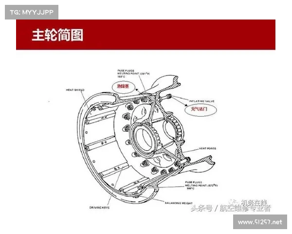 放气门为中心：引发汽车引擎性能的关键技术详解